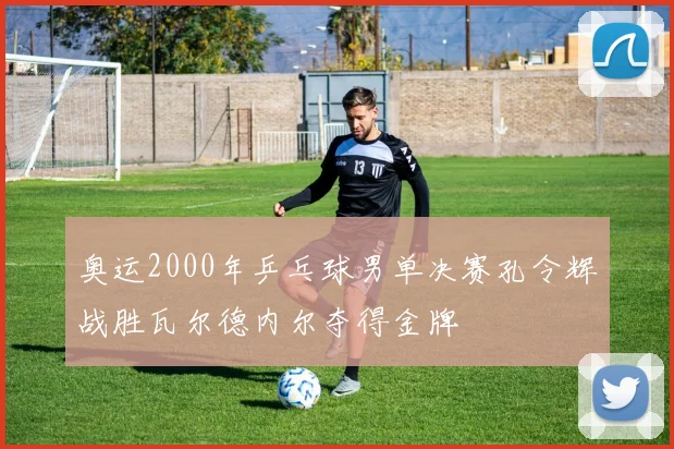 奥运2000年乒乓球男单决赛孔令辉战胜瓦尔德内尔夺得金牌