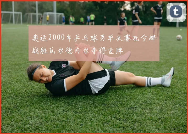 奥运2000年乒乓球男单决赛孔令辉战胜瓦尔德内尔夺得金牌